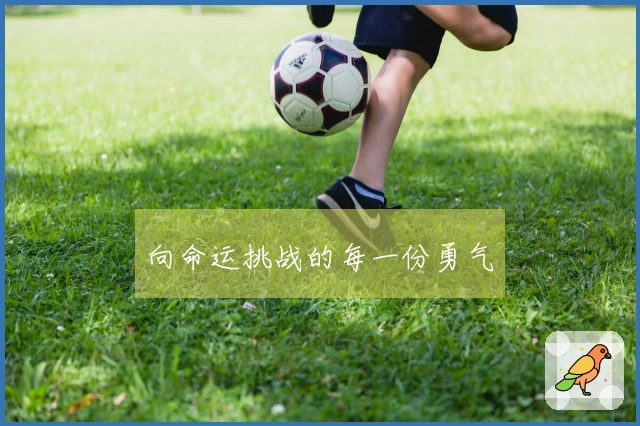 向命运挑战的每一份勇气